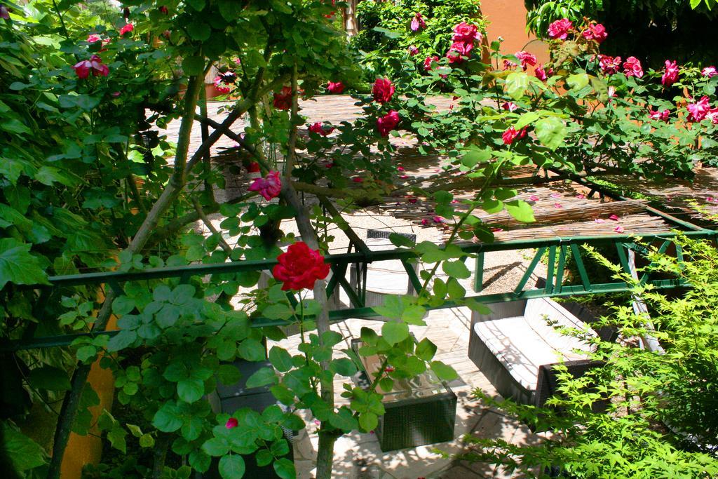 Monteverde Apartment